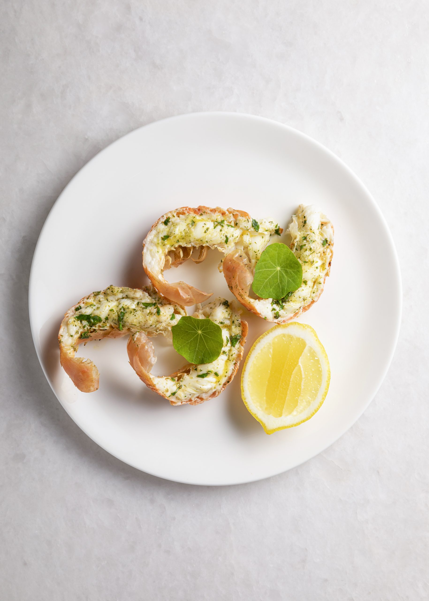 Blanko_Final Selects_000023