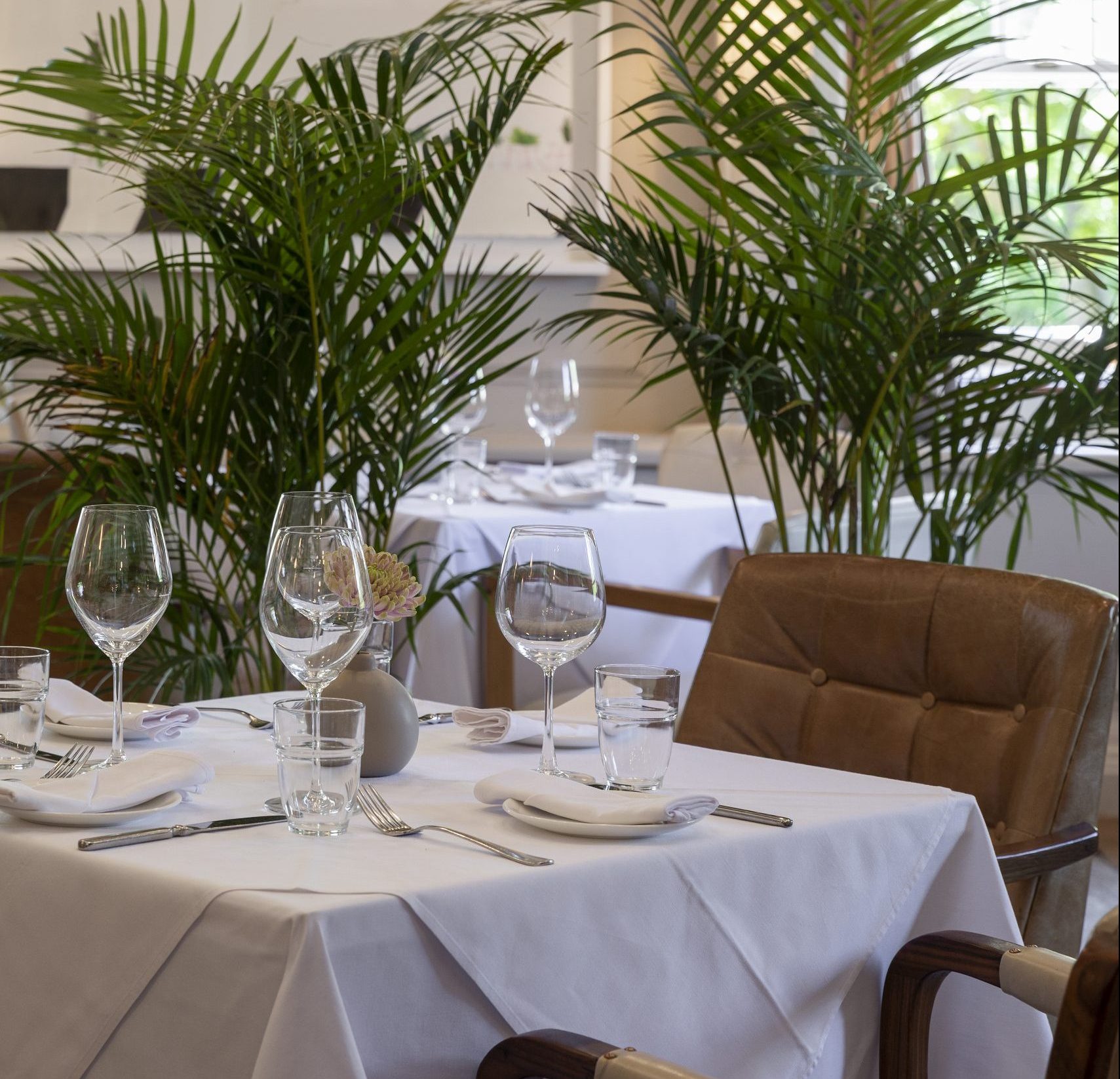 Under the Stars – <br> New Year’s Eve at Blanko