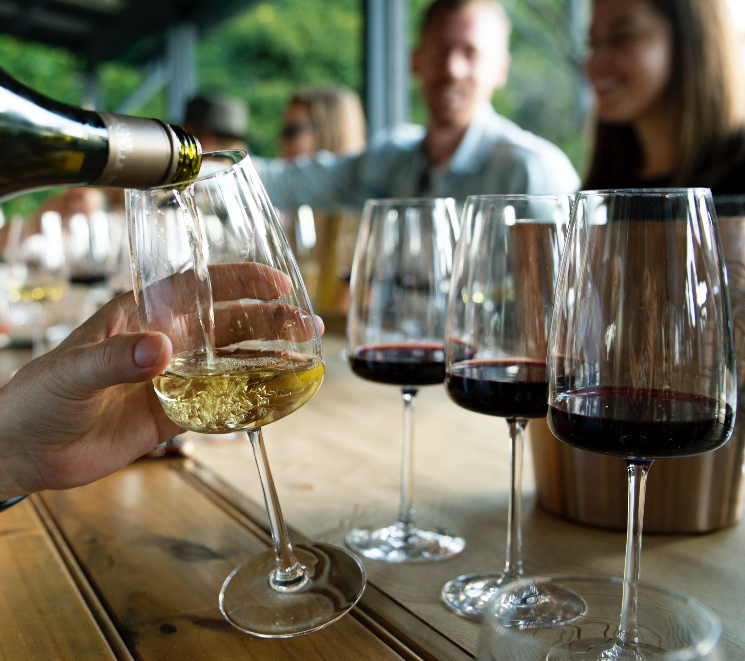 Constantia Valley Wine Experiences
